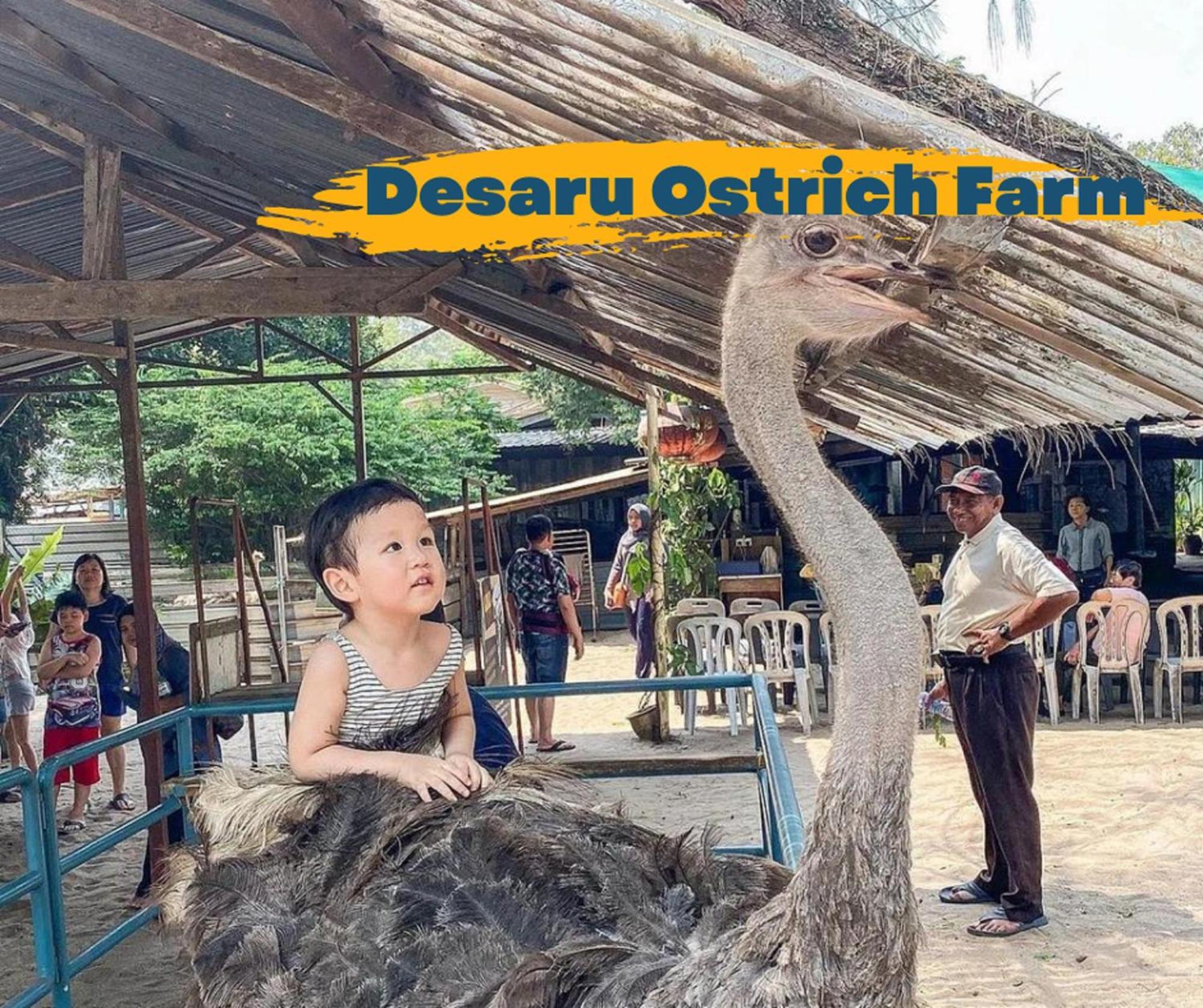 Desaru Johor By Glex Villa Exterior photo